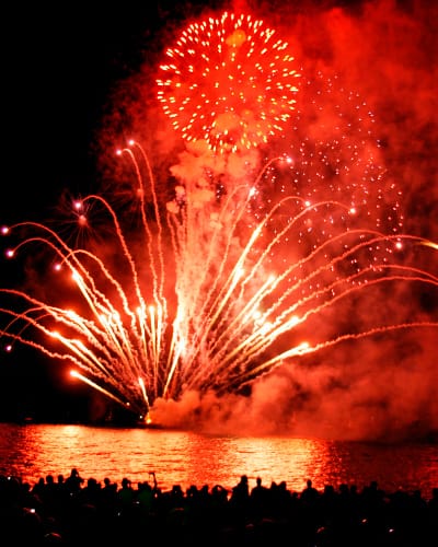 Torta 100 Disparos Premium B