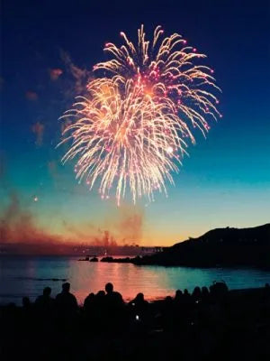 49 Shots Quantum Bloom