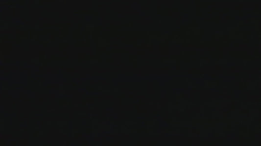 2inch 60shots shell cake